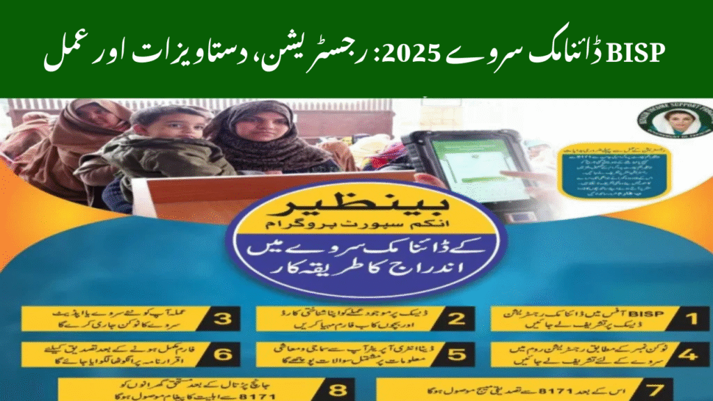 benazir income support program eligibility